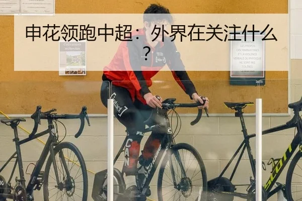 申花领跑中超：外界在关注什么？